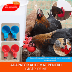 【49%OFF】🔥🐔【Cumpărați 5 și primiți 5 gratuit】【10 buc】Bol de băut automat pentru păsări de curte