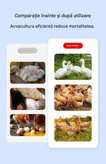 🐔【Cumpără 1, primești 1 gratuit】🐓Hrană specifică păsărilor de curte anti-ciugulit și anti-mușcături