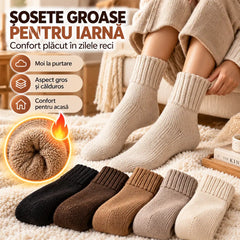 🧦 【Cumpără o singură dată și ai asigurată toată iarna!】❄️ Set 10 Perechi Șosete Groase de Iarnă cu Pluș – Confort termic și stil Maillard pentru zilele reci! 🧦🔥