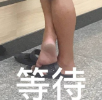 测试