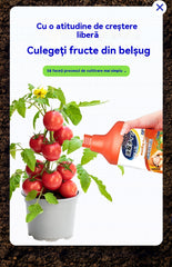 🍅🥒Soluție nutritivă specializată pentru fructe și legume — Promovează creșterea, înrădăcinarea și răsadurile viguroase