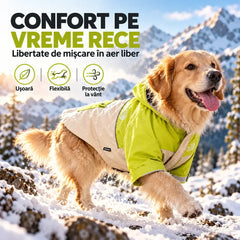 🐕 Jacheta Outdoor Impermeabilă și Anti-vânt pentru Câini! Protecție în 3 Straturi · Elemente Reflectorizante · Inel D pentru Lesă · Ideala pentru Toamnă și Iarnă!