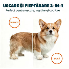 Uscător de păr și perie pentru animale de companie 2 în 1 🐾 Uscare rapidă, silențioasă și la temperatură constantă · Periere și îndepărtare a părului mort · Îngrijire ușoară la domiciliu, economii semnificative