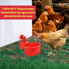 【49%OFF】🔥🐔【Cumpărați 5 și primiți 5 gratuit】【10 buc】Bol de băut automat pentru păsări de curte