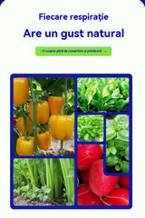 🍅🥒Soluție nutritivă specializată pentru fructe și legume — Promovează creșterea, înrădăcinarea și răsadurile viguroase