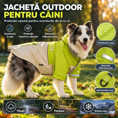 🐕 Jacheta Outdoor Impermeabilă și Anti-vânt pentru Câini! Protecție în 3 Straturi · Elemente Reflectorizante · Inel D pentru Lesă · Ideala pentru Toamnă și Iarnă!