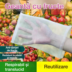 🌿【Set de 50 bucăți】Plasă anti-muște de fructe / plasă de protecție pentru păsări – protejează florile, plantele, fructele și legumele