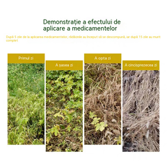 🌿【4 plicuri】🌾Erbicidul pe bază de glifosat distruge complet buruienile, iar rădăcinile buruienilor putrezesc complet în 5 zile.