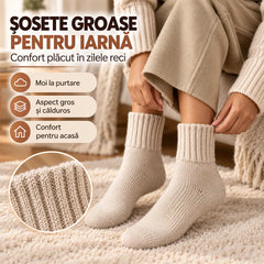 🧦 【Cumpără o singură dată și ai asigurată toată iarna!】❄️ Set 10 Perechi Șosete Groase de Iarnă cu Pluș – Confort termic și stil Maillard pentru zilele reci! 🧦🔥