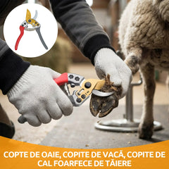 🐏✂️【30%OFF】Copte de oaie, copite de vacă, copite de cal foarfece de tăiere