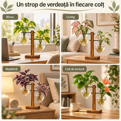 💕 Design Unic și Relaxant pentru Casa Ta! – Două vase suspendate din sticlă și lemn, ideale pentru orice încăpere! 🌿🏠