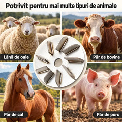 🥩 Disc Profesional pentru Îndepărtarea Părului de pe Carcase – Rapid, eficient și fără pierderi de carne! 🔪⚡