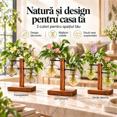 💕 Design Unic și Relaxant pentru Casa Ta! – Două vase suspendate din sticlă și lemn, ideale pentru orice încăpere! 🌿🏠
