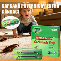 🎁 Cumperi o cutie și primești încă una gratuit!——【20 de bucăți/cutie】Capcană puternică cu momeală pentru gândaci