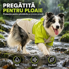 🐕 Jacheta Outdoor Impermeabilă și Anti-vânt pentru Câini! Protecție în 3 Straturi · Elemente Reflectorizante · Inel D pentru Lesă · Ideala pentru Toamnă și Iarnă!