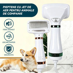 Uscător de păr și perie pentru animale de companie 2 în 1 🐾 Uscare rapidă, silențioasă și la temperatură constantă · Periere și îndepărtare a părului mort · Îngrijire ușoară la domiciliu, economii semnificative