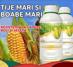 🌽🌽Îngrășământ specific pentru plantarea porumbului - promovează creșterea răsadurilor și crește randamentul